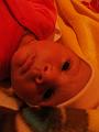DSC00506