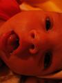 DSC00509