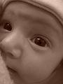 DSC00706