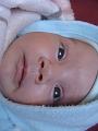 DSC00785